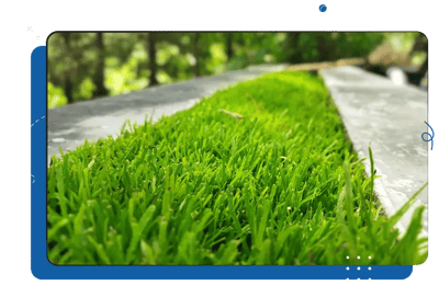 iCEVCourses_TurfgrassManagement