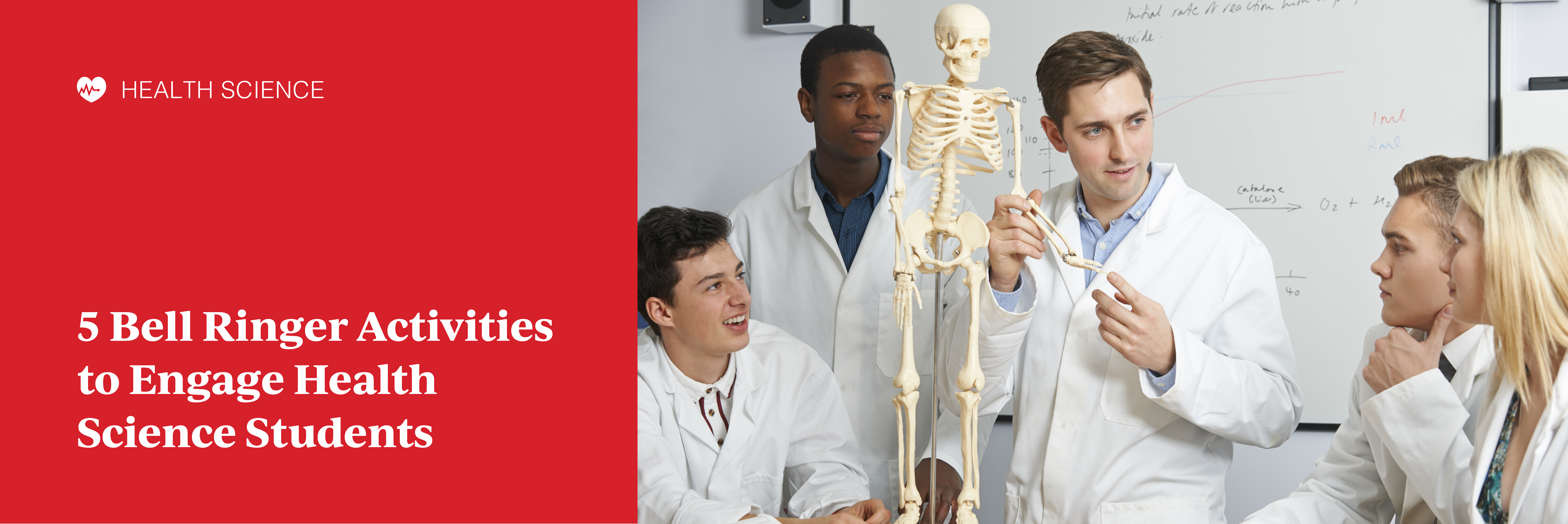 5 Bell Ringer Activities to Engage Your Health Science Students